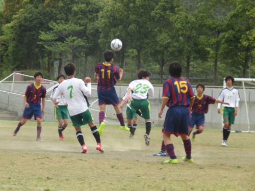 IMG_3431_1600_1600.jpg