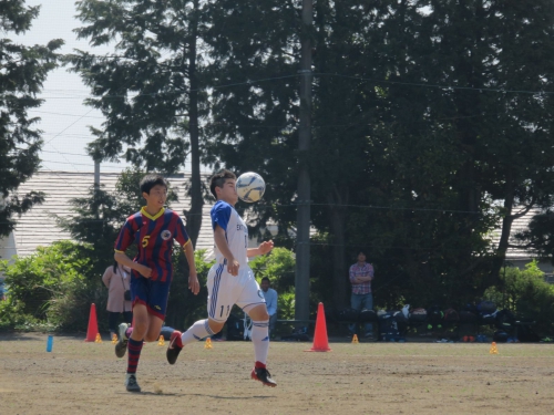 IMG_3608_1600.jpg