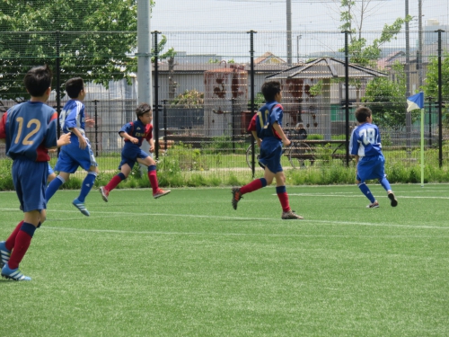 IMG_3619.JPG