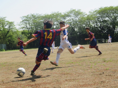 IMG_3634_1600.jpg