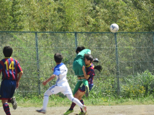 IMG_3646_1600.jpg