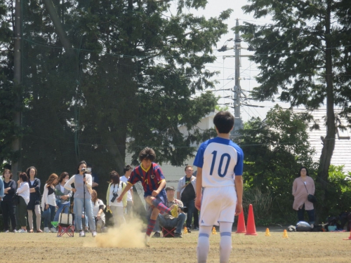 IMG_3762_1600.jpg