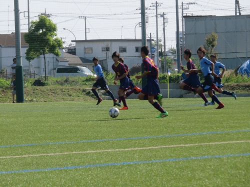 IMG_4113_1600.jpg