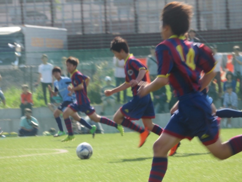 IMG_4140_1600.jpg