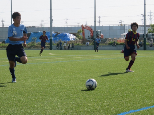 IMG_4184_1600.jpg