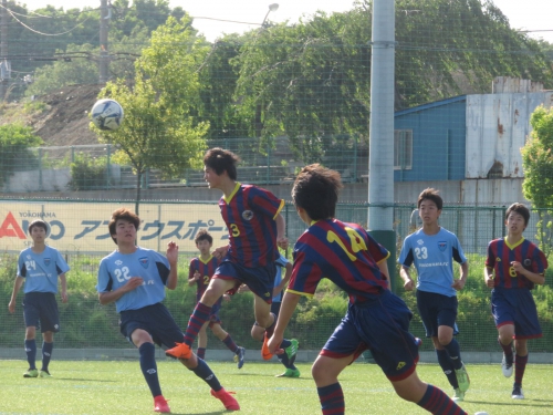 IMG_4208_1600.jpg