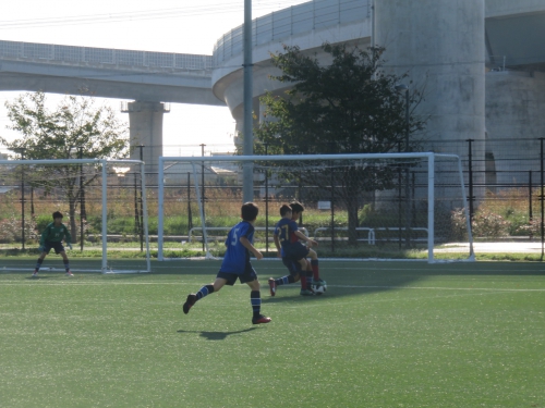 IMG_4233.JPG