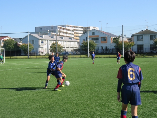 IMG_4235.JPG