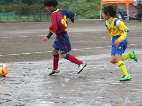 IMG_8241_1024.jpg