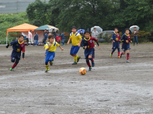 IMG_8253_1024.jpg
