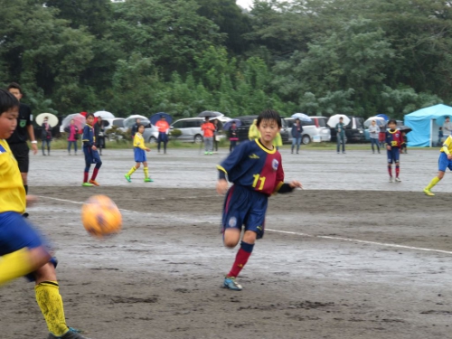 IMG_8260_1024.jpg
