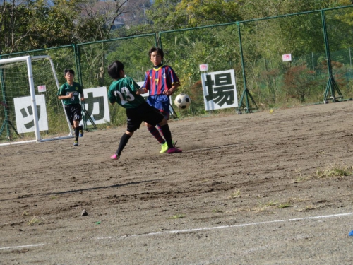 IMG_8939_1024.jpg