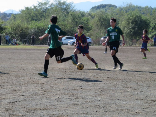 IMG_8994_1024.jpg