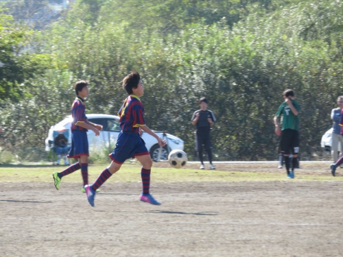 IMG_9024_1024.jpg