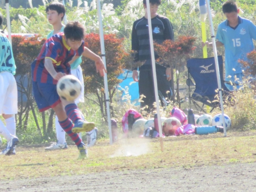 IMG_9036_1024.jpg