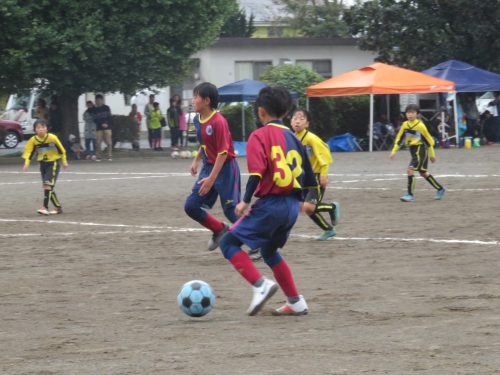 IMG_9213.JPG