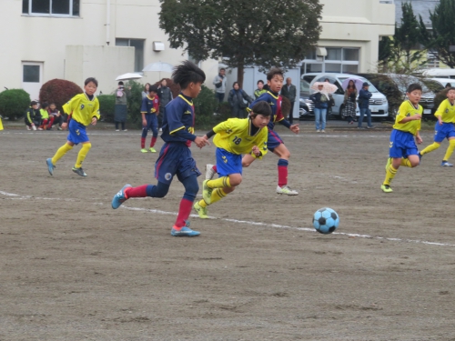 IMG_9247.JPG