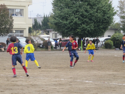 IMG_9253.JPG